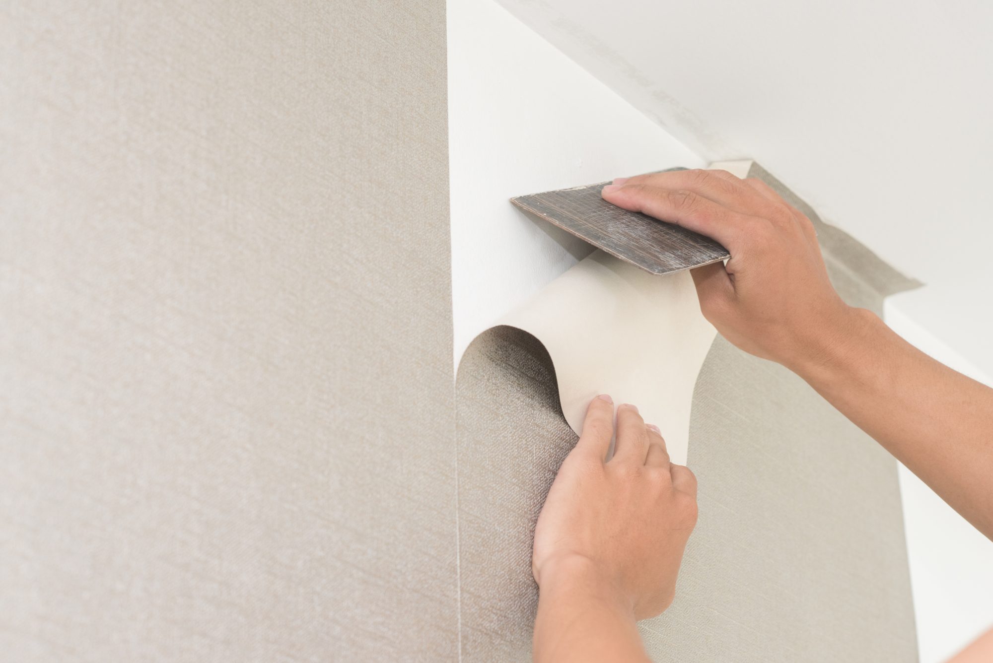 dreamstime_l_83547955 Painters & Decorating